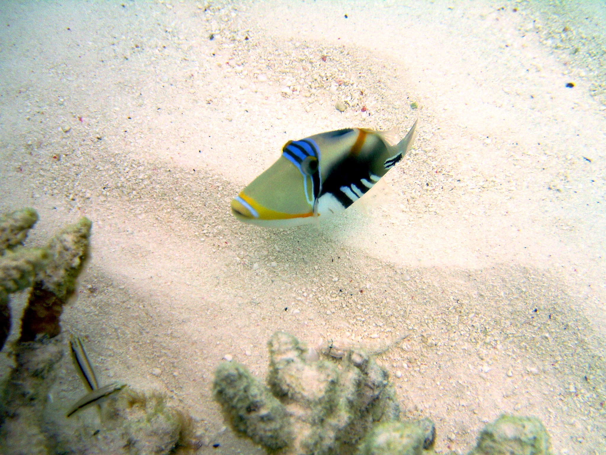 潜水100个常识,潜水旅游十大常识