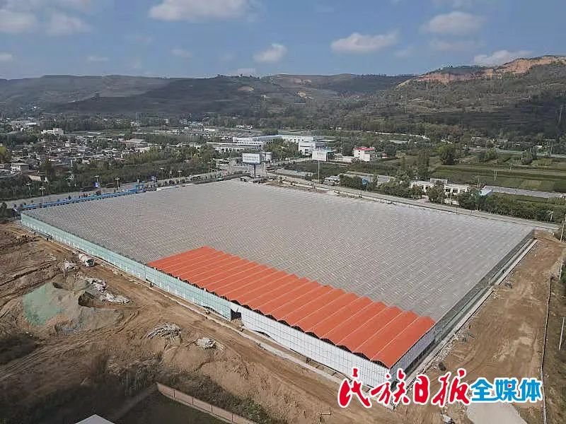 百益集团董事长鲁鸿宙,百益集团董事长鲁鸿宙个人简历