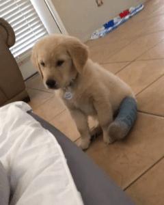 骨折21天自行拆石膏,骨折保守治疗打石膏是愈合得快吗