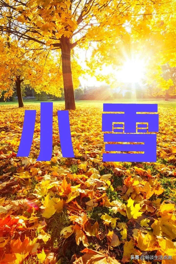 小雪节气有雨谚语,小雪见晴天有雪到年边啥意思