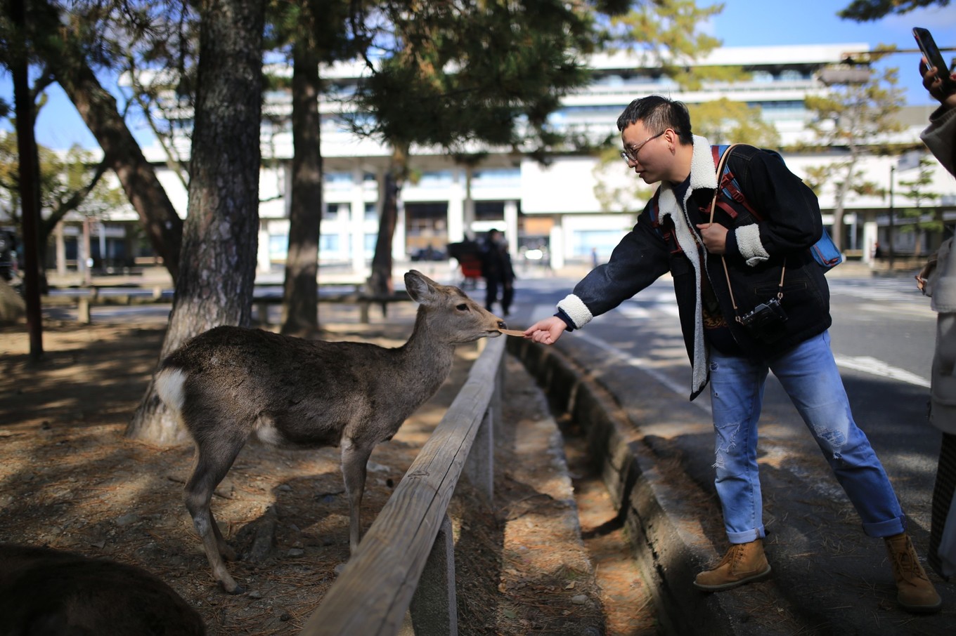 六月日本北海道风光,日本北海道几月去比较好