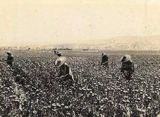 6.26国际禁毒日工作总结,6.26国际禁毒日资料