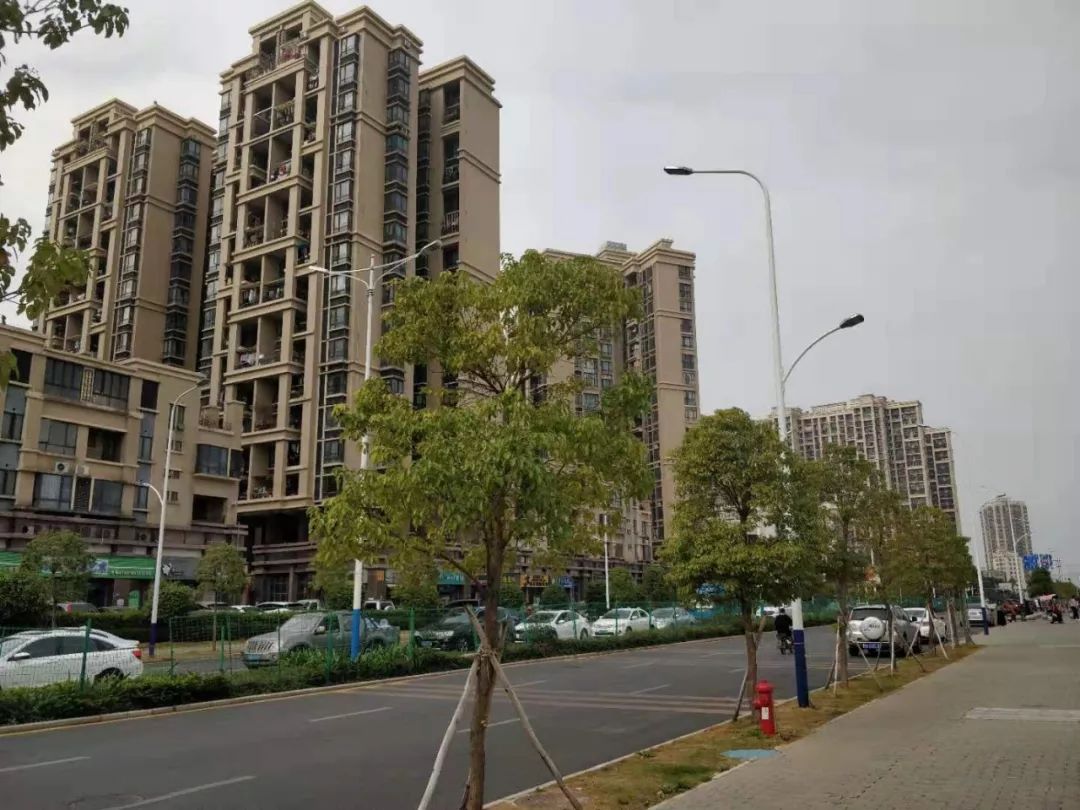 深圳上周楼盘去化量,深圳楼盘首日去化情况