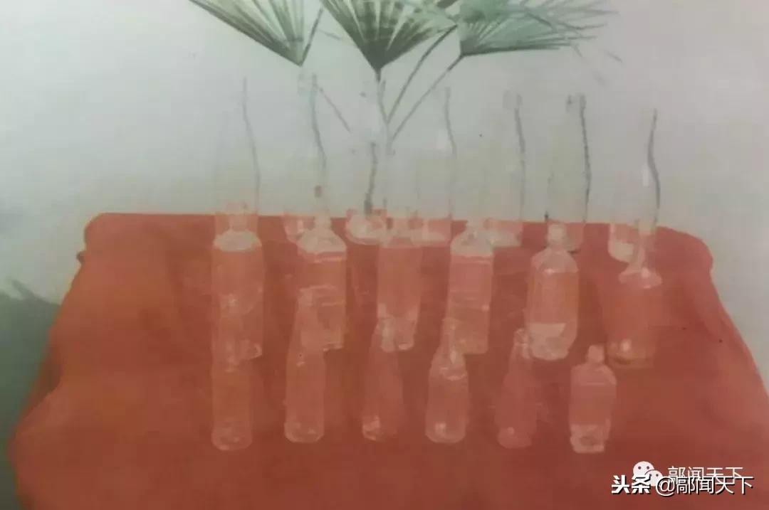 沧桑巨变五十年回望历史七绝,沧桑巨变国富民强