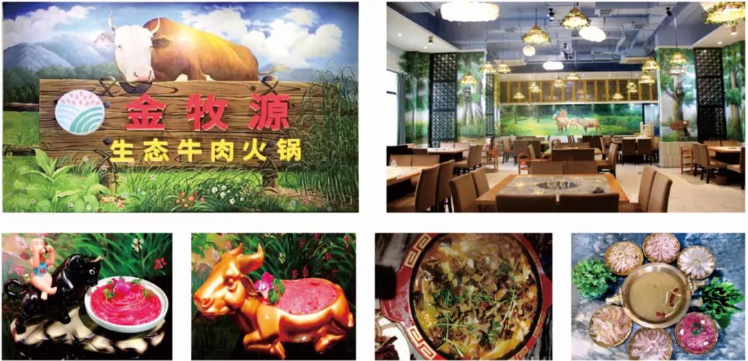 三农观察特稿｜金牧粮草承载“饲草皇后”的乡村振兴梦