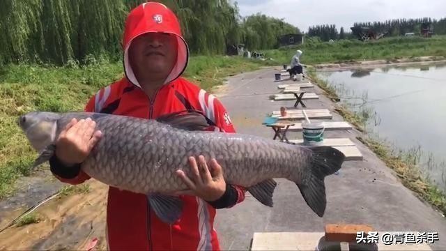 水中氧气含量与水深关系,水中氧气不足怎么钓鱼钓深钓浅
