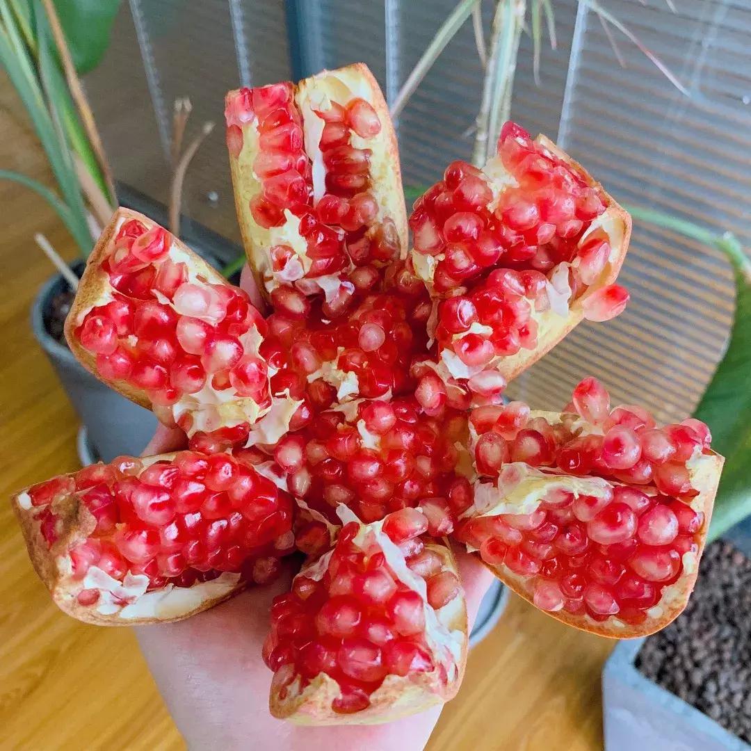 辰颐物语甜橙胶原蛋白,辰颐物语蜜糖