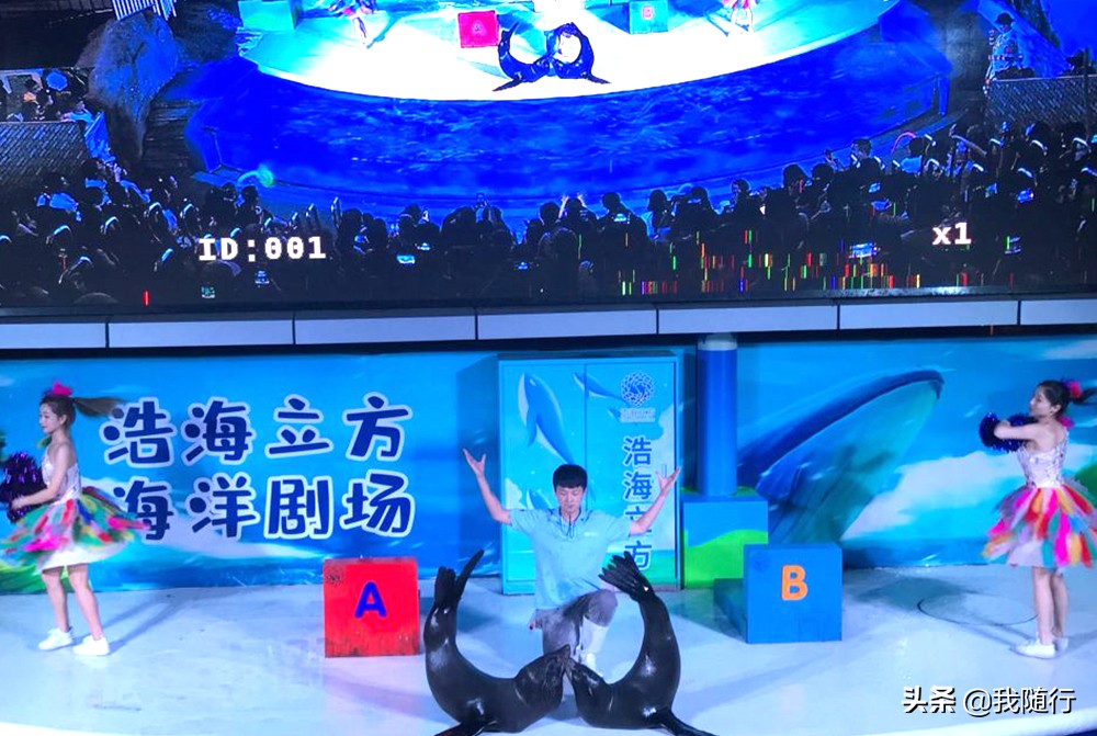 波音驾驶、海底隧道，成都“海滨城”游玩，可以先看看这些