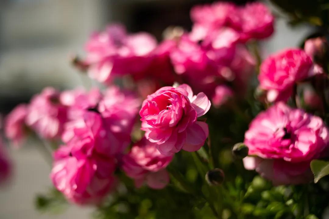 鑰佽洐24mmf14,鑰佽洐45mmf0.95闀滃ご璇勬祴