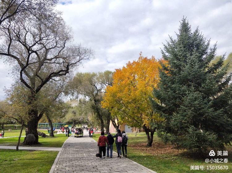 哈尔滨素描俱乐部,哈尔滨素描画室