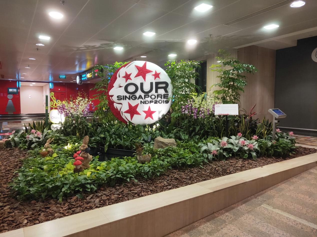 马尔代夫玛娜法鲁自助游,马尔代夫玛娜法鲁岛攻略