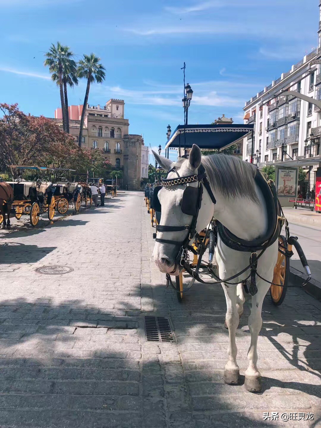 低价买全新相机,佳能850d单反相机现在的价格