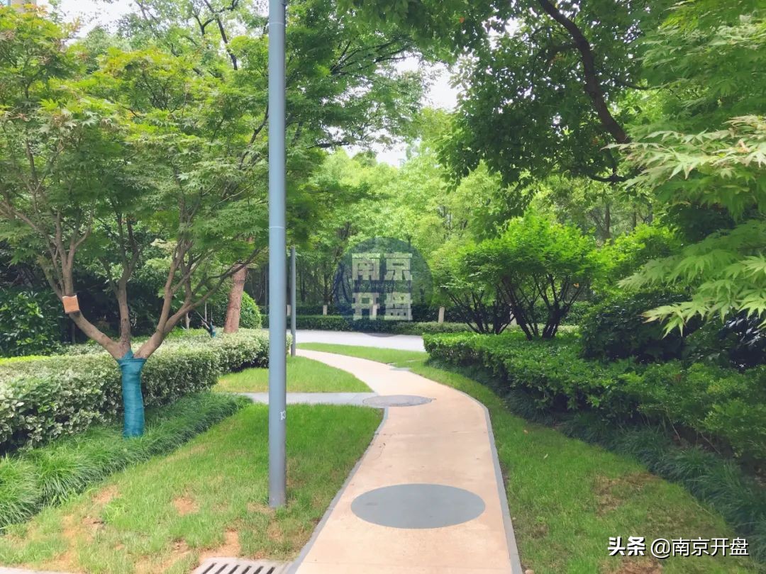 8.3万/㎡成交！今天实探仁恒次新房，实景美炸了