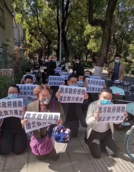 缅甸香蕉滞销怎么解决,缅北香蕉最新消息