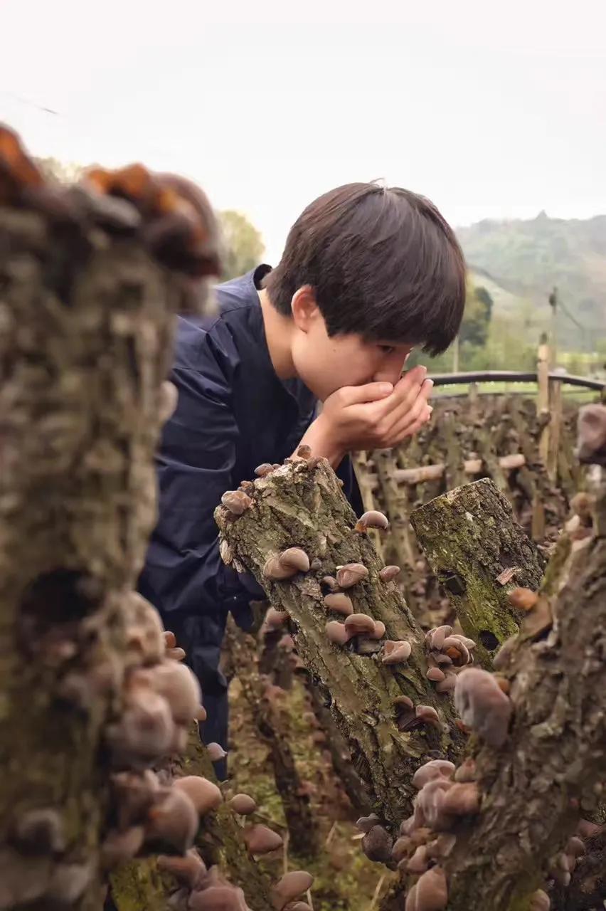 鎴戣闈掑北澶氬Ι濯氶潚灞辩湅鎴戝簲濡傛槸,鎴戣闈掑北澶氬Ι濯氭枡鎯抽潚灞卞簲濡傛槸
