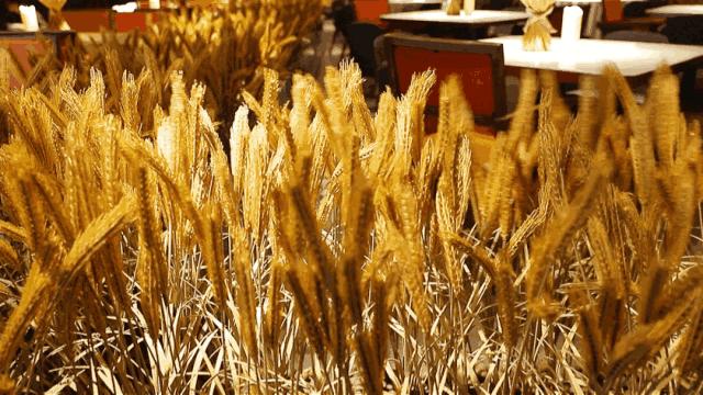 大众点评品类榜首!这家“土到极致”的湘菜馆是如何做到的?