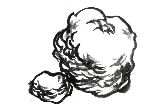 山石的常用皴法,山石的各种皴法介绍