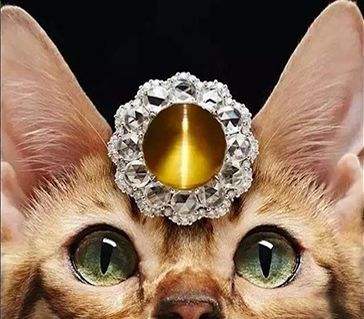 宝石科普珠宝,科普世界五大名贵宝石之金绿猫眼
