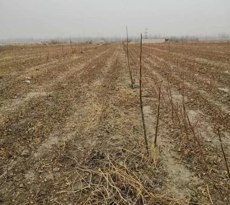 阿克苏找工作58同城最新招聘,附近45岁至55岁招工阿克苏