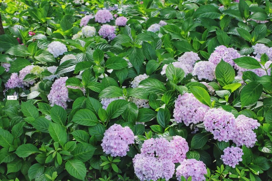 旅拍贵州！邂逅每一帧浪漫风景