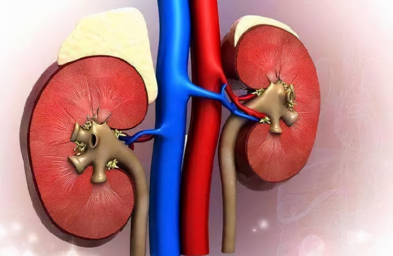 俗话说“一个猪肚十副药”是什么意思？常吃猪肚会有什么变化？