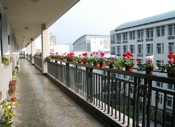 杭州最牛国际学校,杭州最牛的小学