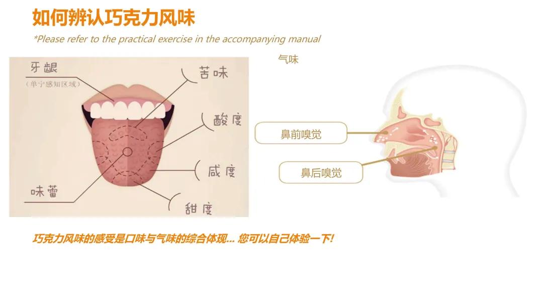 山东欧米奇烘焙视频,山东欧米奇西点西餐学院靠谱吗