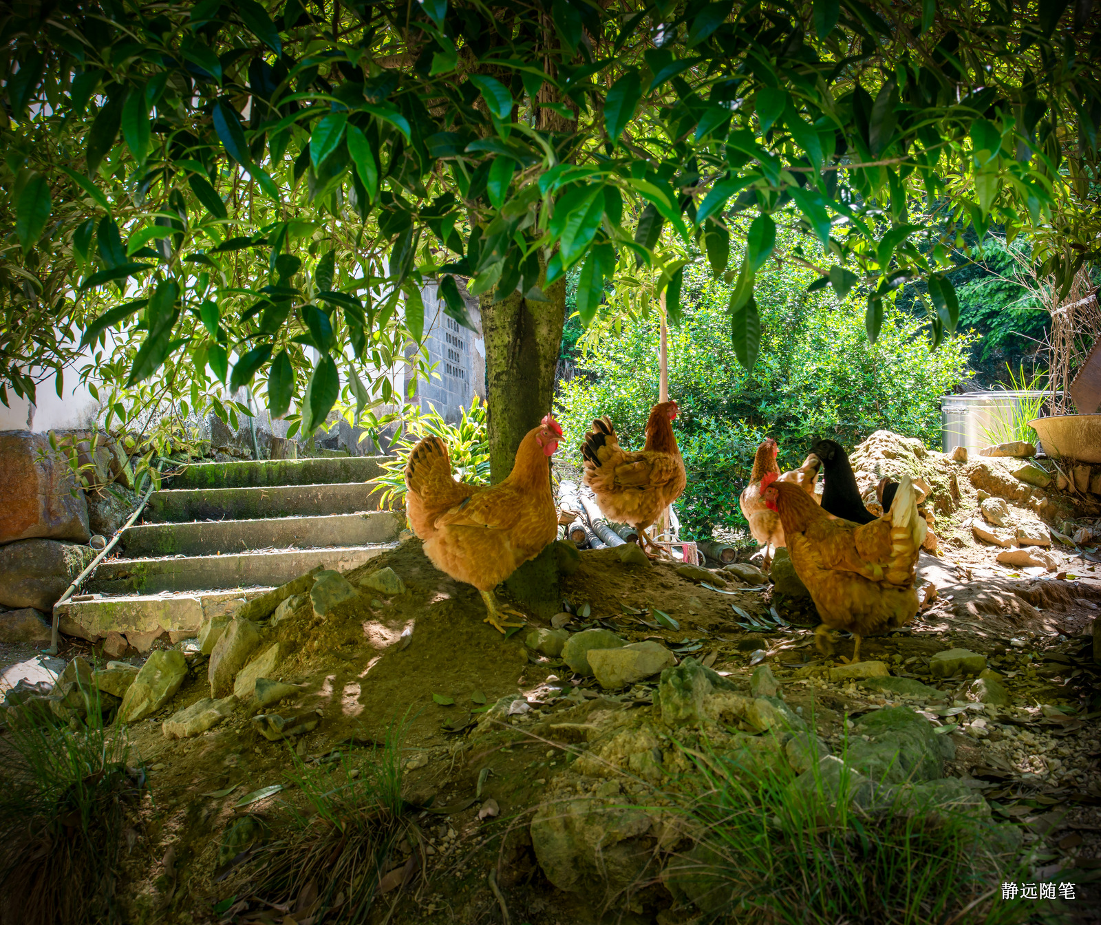 浙江富阳上官球拍有限公司,富阳上官乒乓球拍厂