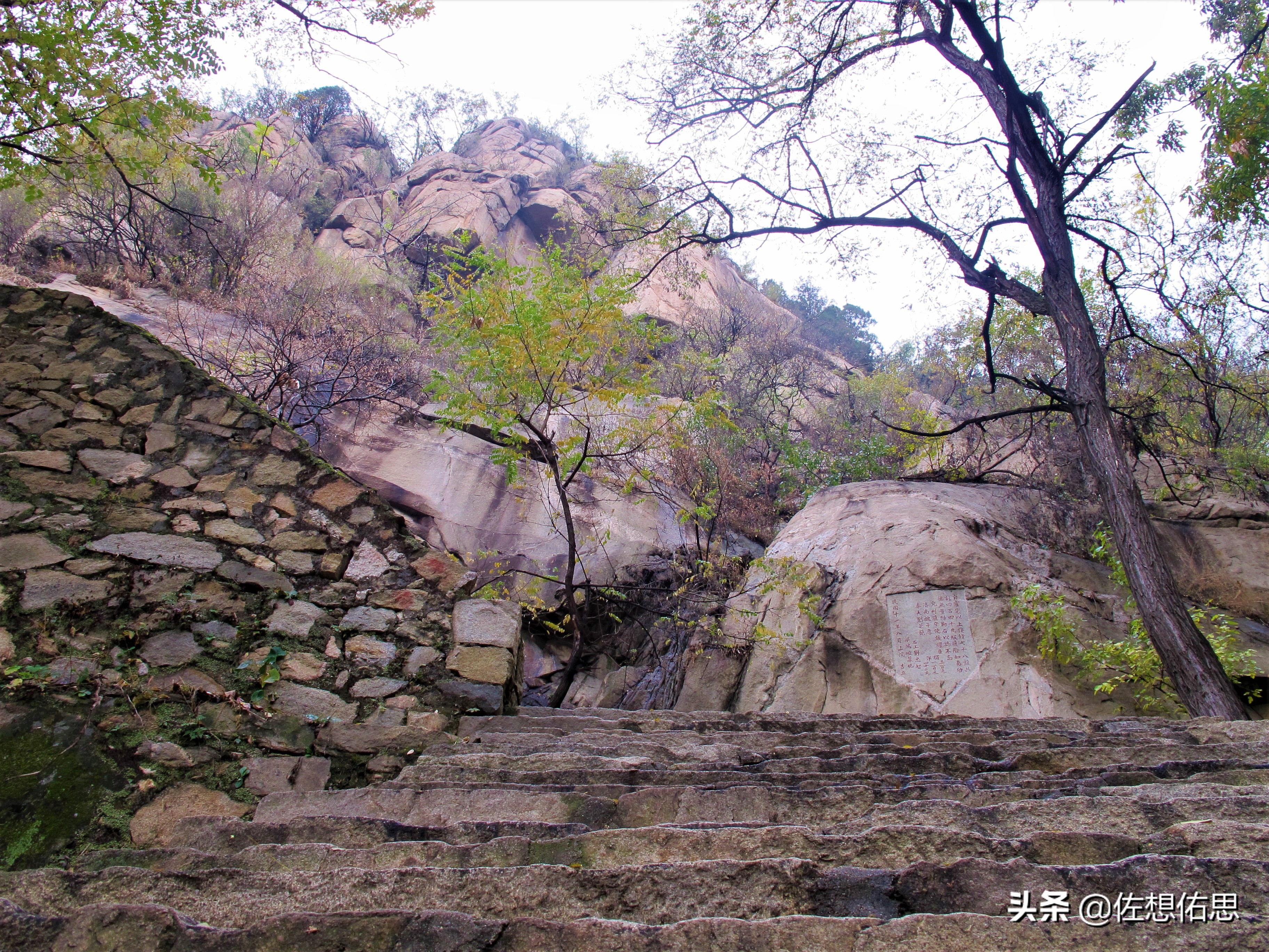 泰安扇子崖免门票吗,扇子崖门票多少钱