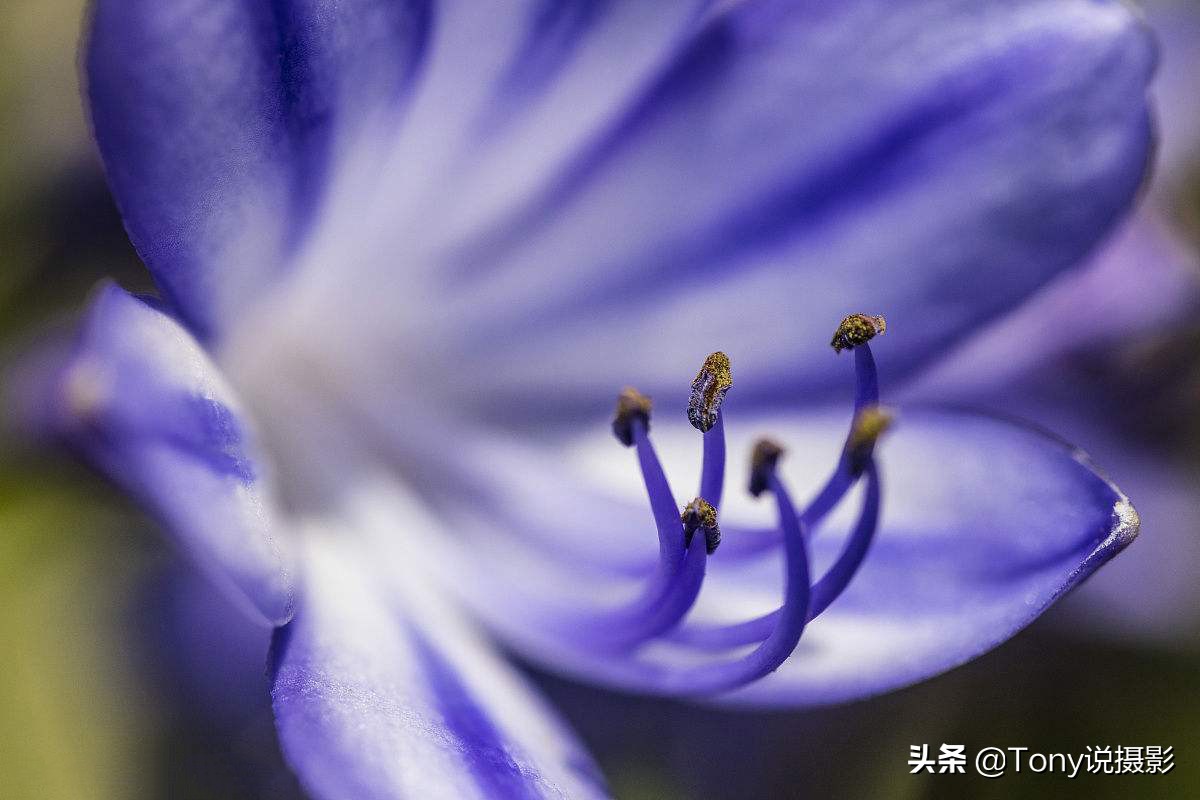 手机镜头和相机镜头的区别,相机vr镜头与vc镜头的区别