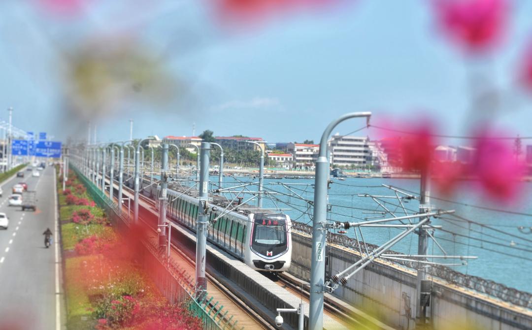 浪漫的夏天藏在厦门的海风里,厦门的夏天又热又浪漫