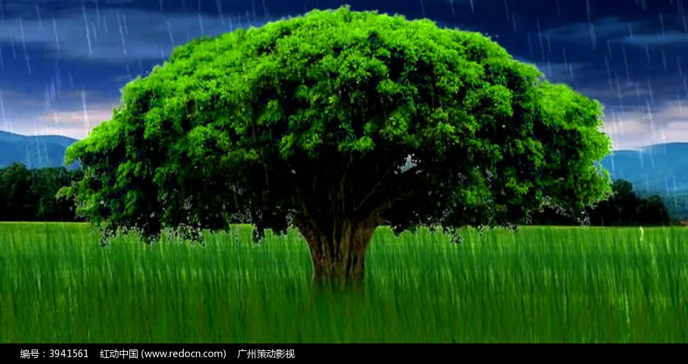 时间都去哪了?碎片化学习帮你加持