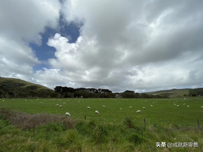 成交率如何提高的方法,三个技巧提高店铺下单转化率