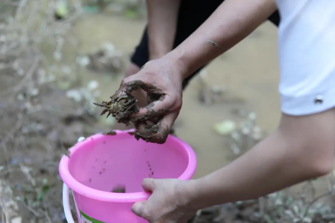 快艇摩托艇极速沙发SUP板…桐洲岛亚联飞行营地“上新”水上玩法！想体验吗？免费