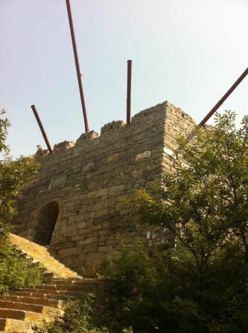 新型农业综合体,新型农业综合体是什么