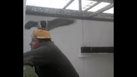 有情人终成兄妹惊不惊喜意不意外,有情人终成兄妹是什么感受