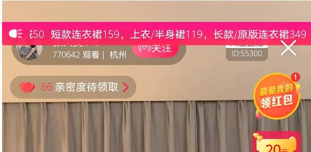 张大奕为什么被称为大陆第一网红,网红张大奕现在怎么样