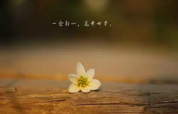 夏天浑身没劲乏力想睡觉怎么回事,夏天感到乏力疲惫怎么办