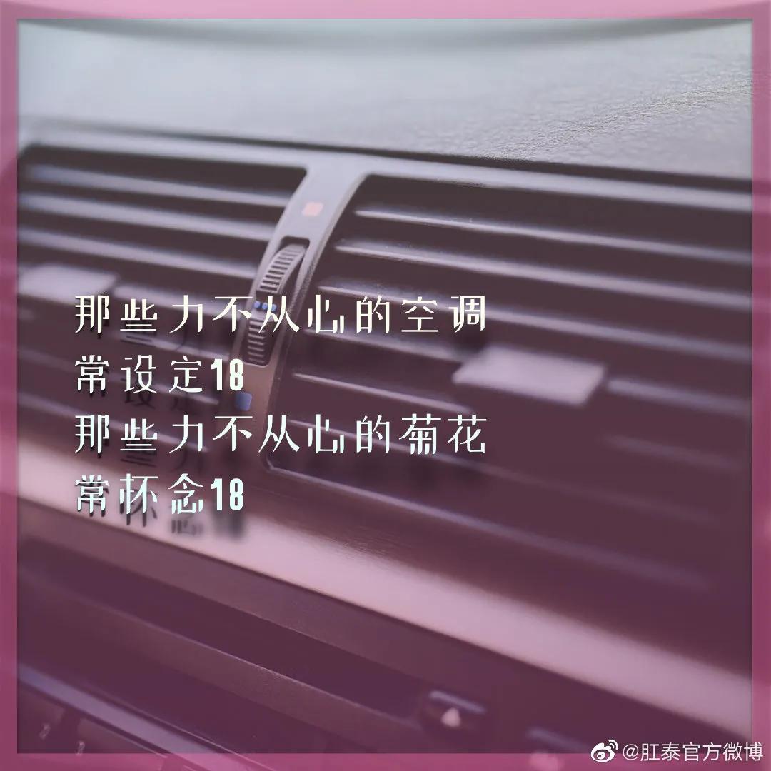比肩杜蕾斯，肛泰这半年赢麻了