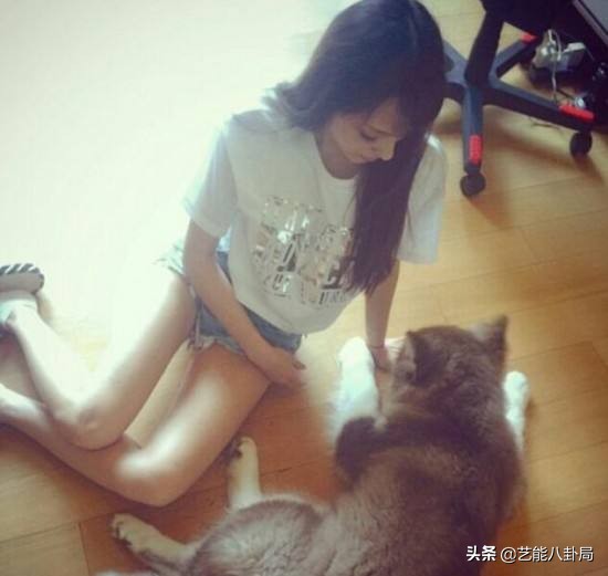 王思聪在哪家买的鸭子,王思聪为什么养鸭