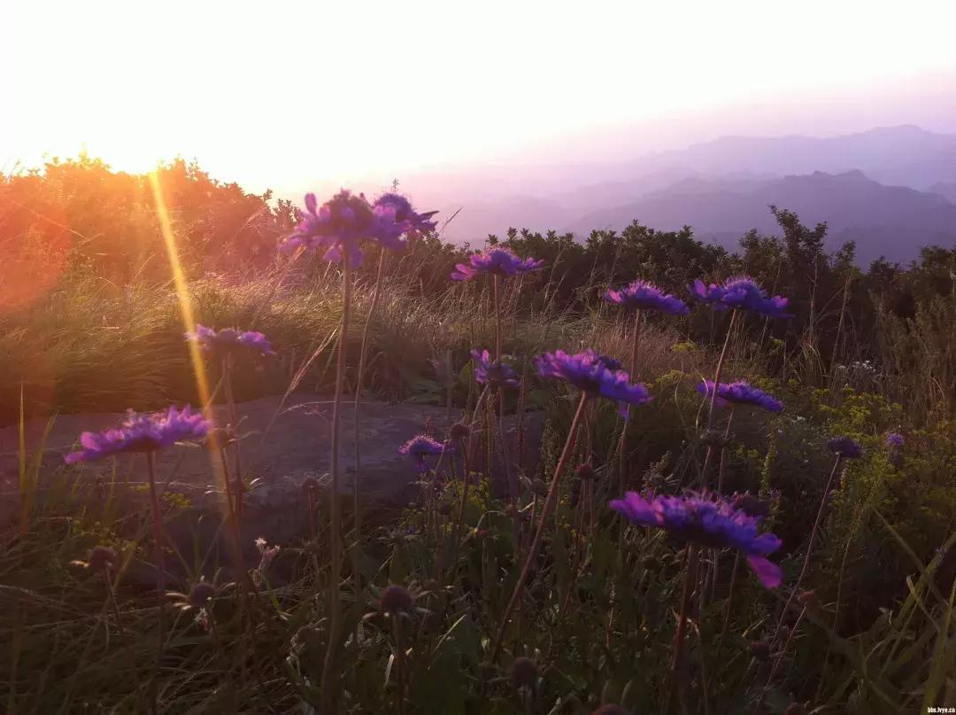 清明去哪儿玩|盘点那些值得打卡的北京周边小众景点！