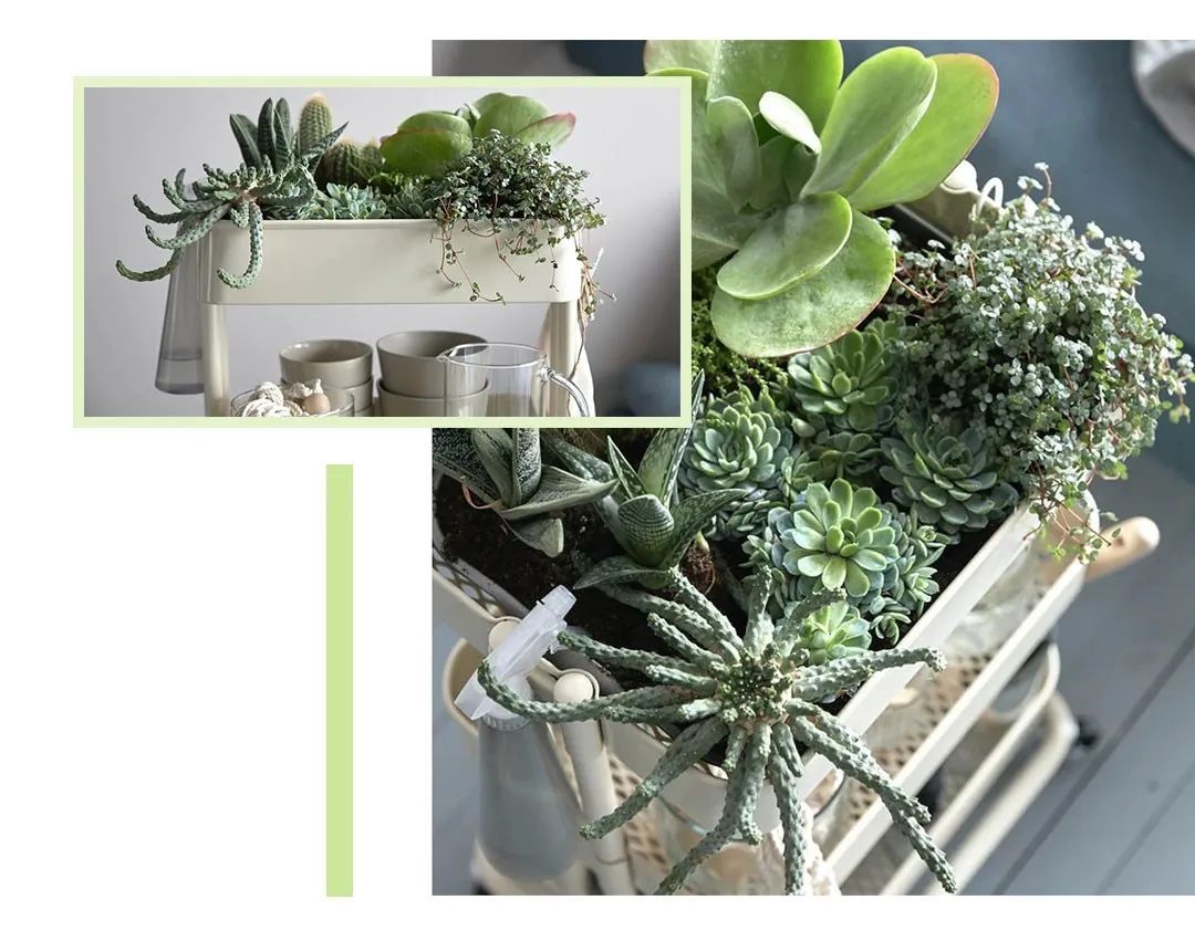 青岛宜家最值得买的商品,青岛宜家必买的15件东西