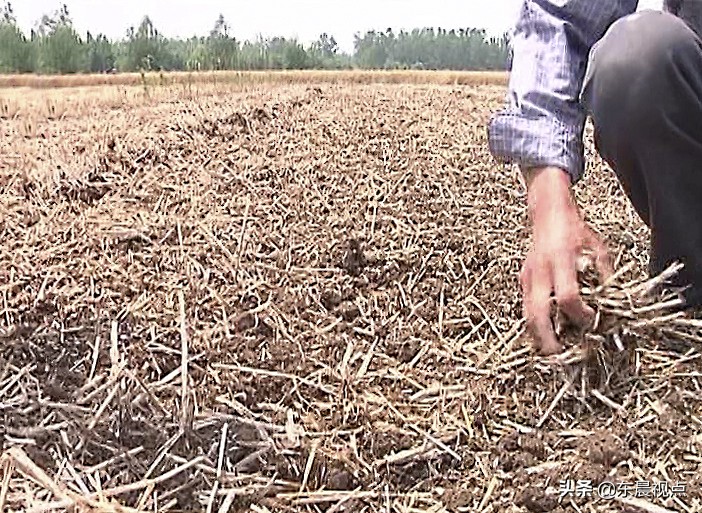 秸秆还田讲解,秸秆还田最新情况