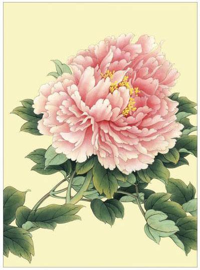 工笔牡丹勾线画法,工笔牡丹十二品设色步骤