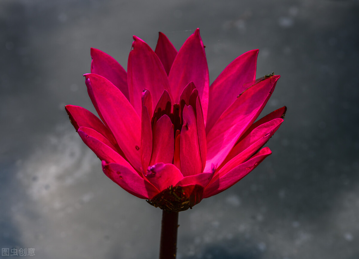 甜宠文现言推荐完结穿书,言情推荐文笔好完结