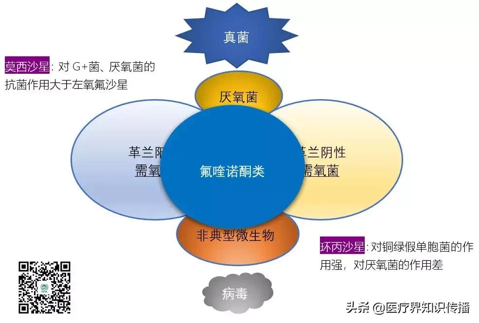 抗菌药谱大全及图片,抗菌谱图解大全