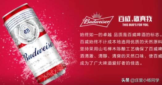 真正的进口啤酒品牌,进口啤酒了解一下