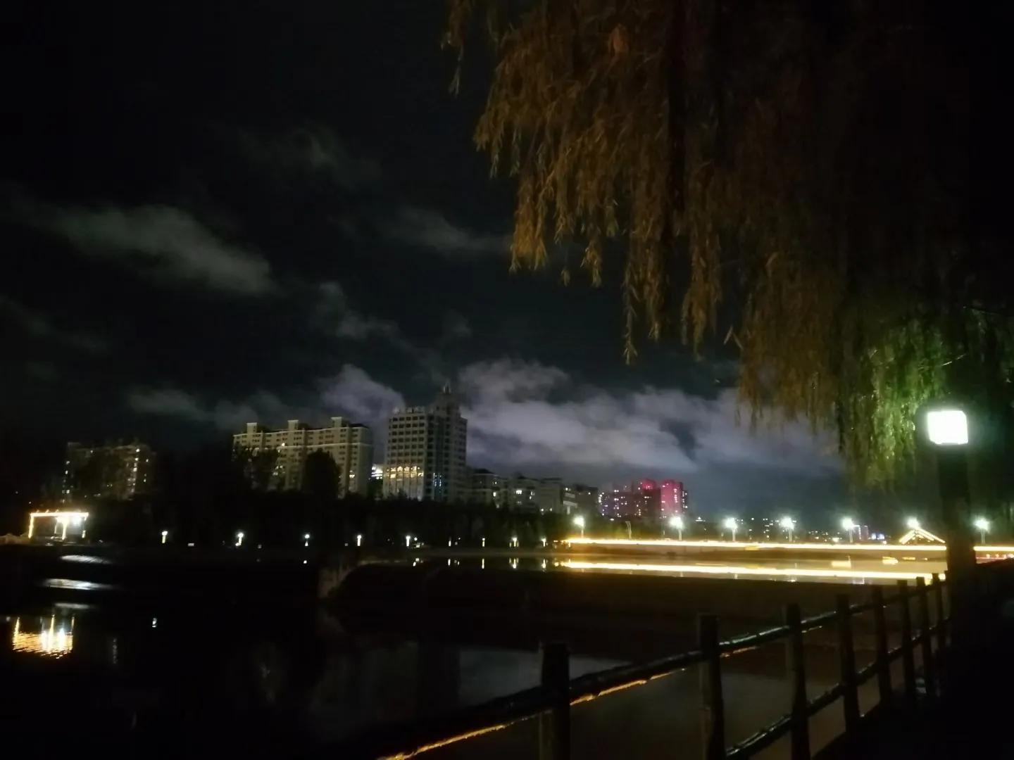 奇异果前世今生,奇异果的简介