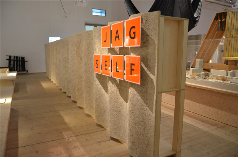 与Volvo同行奔跑在路上——哥德堡半程马拉松之旅（上）