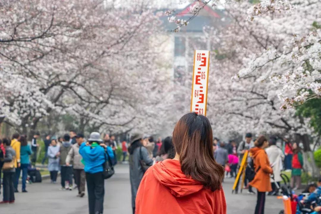 南京的大学学校面积,南京的大学有哪些